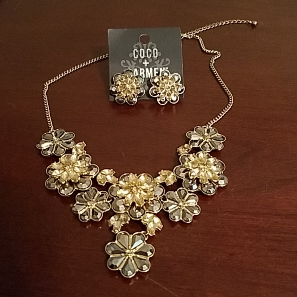 Statement necklace and earrings